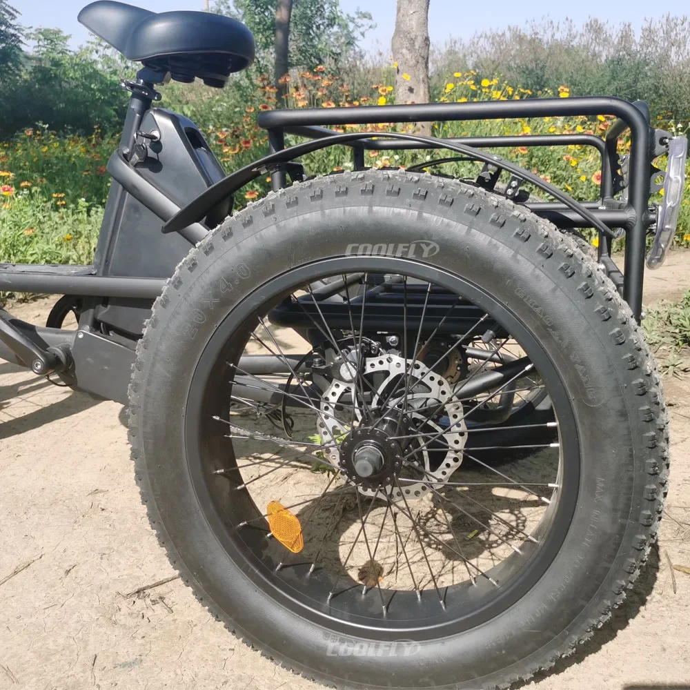 High Power Tricycles Family Cargo Lithium Battery Three Wheel Electric Bicycle 48v 750w 1000w e Bike for Sale