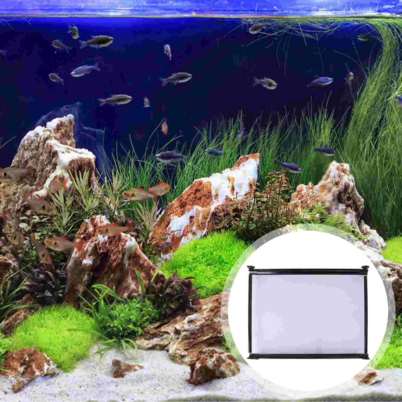 Betta Fish Accessories Aquarium Décor Tank Dividers Aquarium Divider