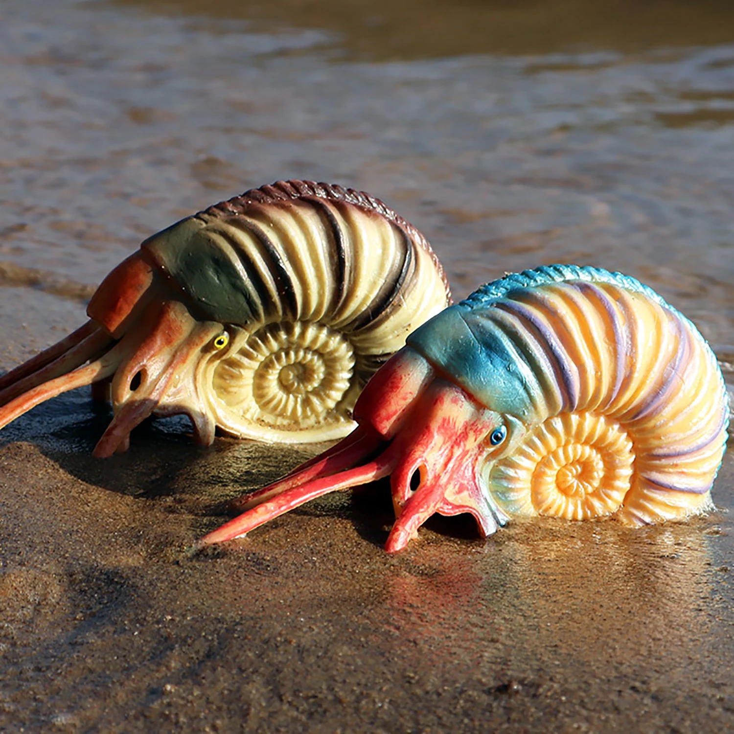Marine animal model simulation toy Nautilus ornament children's toy figurine model early education 3