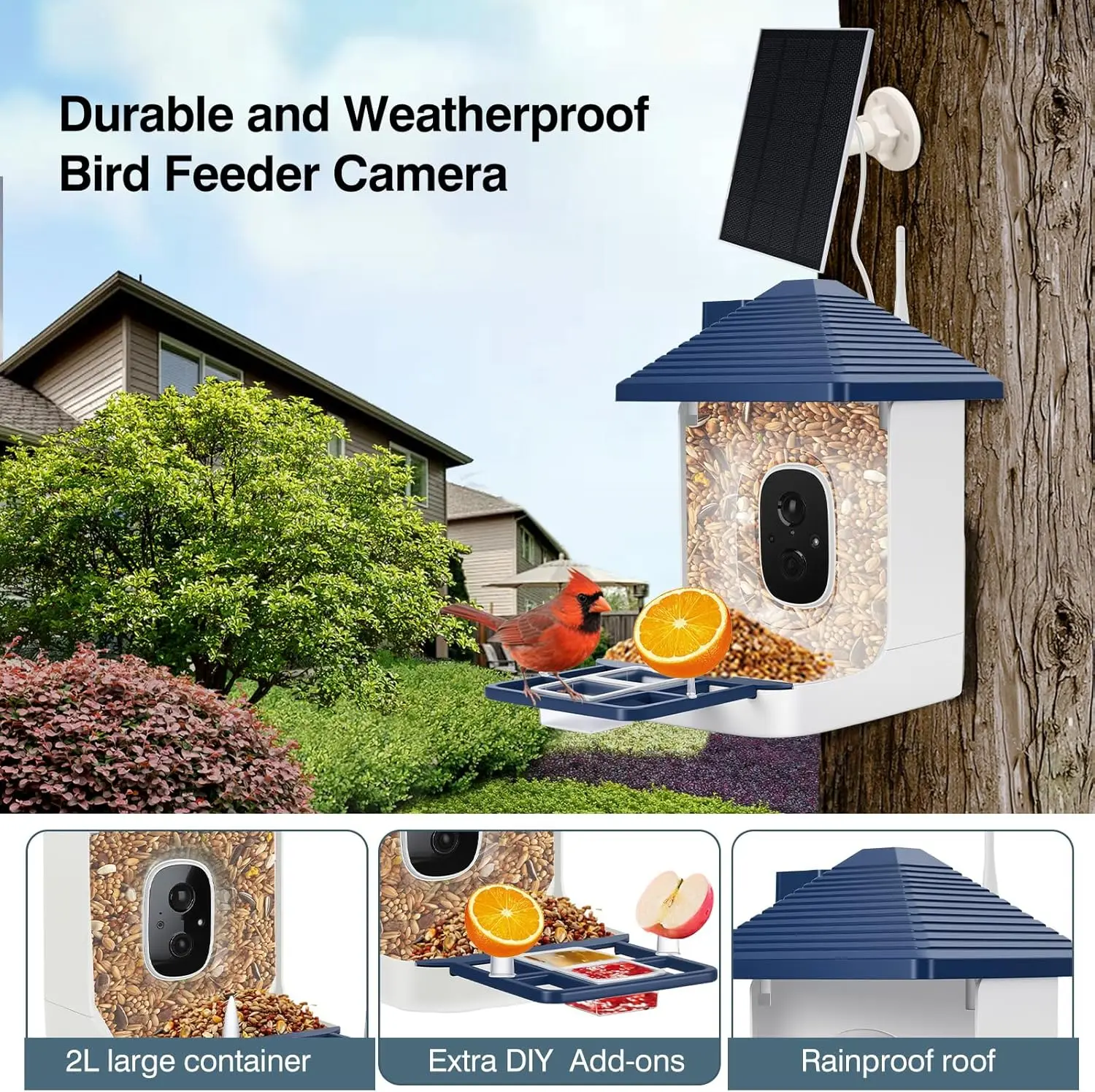 AI Smart Bird Feeder Camera 4