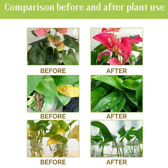 30 Ml Hidroponikus Növényi Tápanyag -Oldat Műtrágya Beltéri Kerti Organikus Lombműfertőre Cserepes Bambuszvirághoz - Image 5