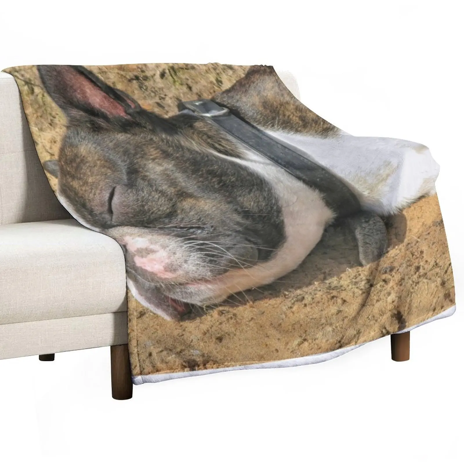 

Boston Terrier sleeping Throw Blanket Sofa Blankets Travel Blanket