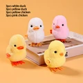 12PCS-