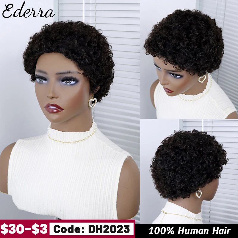 Afro Human Hair Wig Wholesale Full Machine Short Curly Wig Short