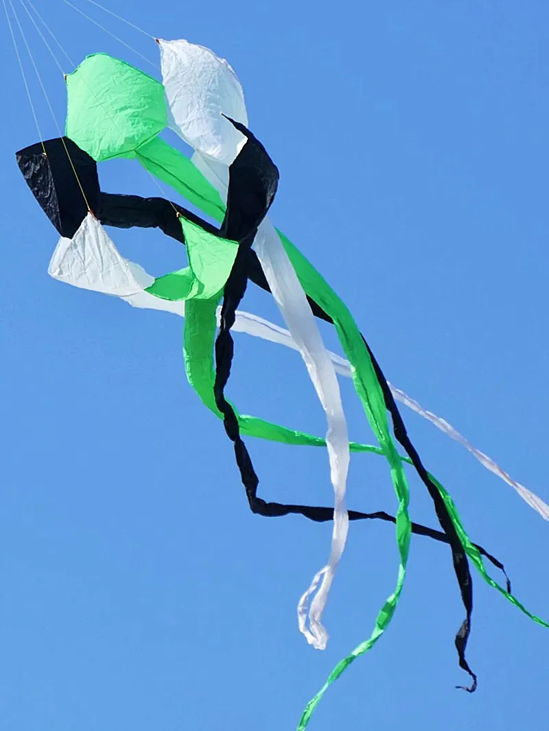 600 cm Regenbogendrachen, Windsack, Drachen fliegen, große Drachen, Erwachsenen-Drachenrolle, Ripstop-Nylon-Drachen, Winddrachen, Fledermausdrachen, Schwänze, Drachenrolle, Spaß – Detail 2