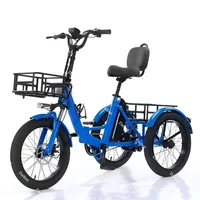 Vélo électrique Cargo 3 roues pliant homme adulte hors route montagne avec 2 paniers/siège réglable 350W gros pneu Tricycle électrique 3