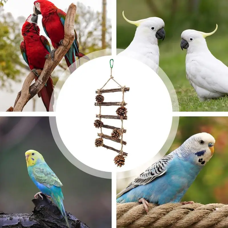 Parrot Climbing Ladder Safe Chewable Birdcage Toy wooden bird stand bird toy Funny climbing Perch Toys for lovebirds parakeets images - 6