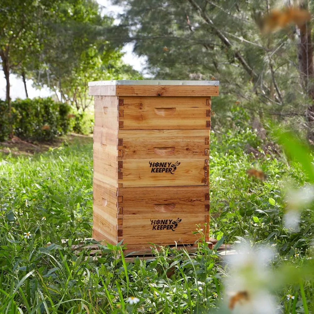 Honey Keeper Beehive 10 Frame Complete Box Kit Coated in Beeswax (Waxed Boxes, 2 Deep and 1 Medium) with Wooden Frames and