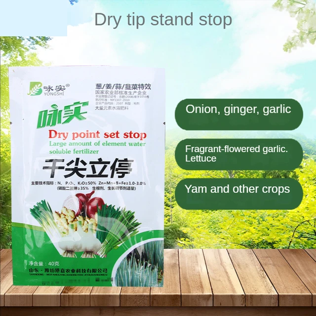 40 G Száraz Pontkészlet Állítsa Le A Tippet Betegségben Sárga Levél Speciális Műtrágya Hagyma/Gyömbér/Fokhagyma/Metélőhagyma Növeli Termelést - Image 2