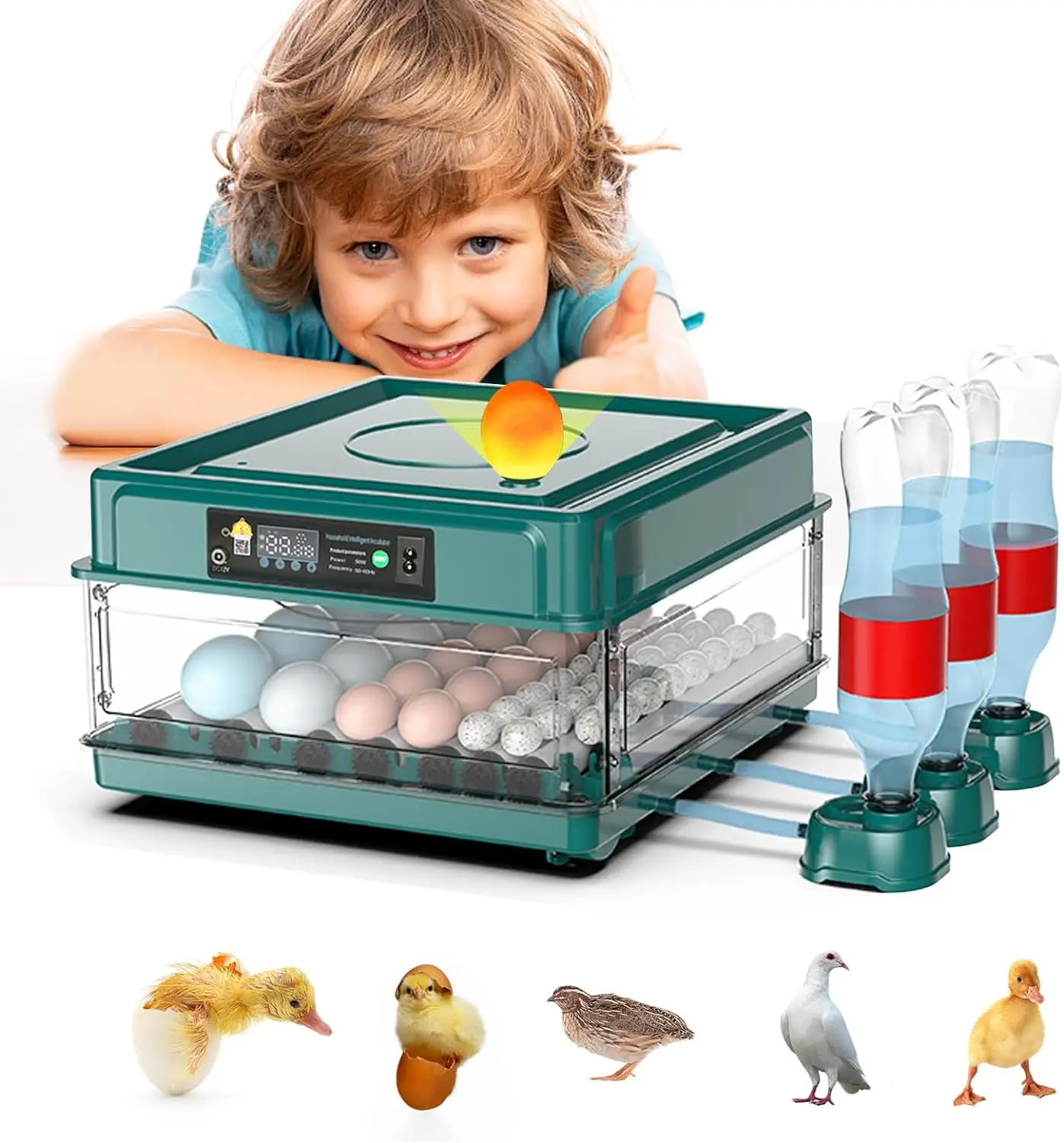 9-15 eggs incubator Chicken Goose Bird Quail Automatic Incubation Equipment Hatchery Incubation Tools EU Plug egg incubator