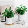 Tabletop Flower Pot Home Garden Bonsai Decor Succulent Hydroponic Plants Pot Self Watering Flowerpot Indoor Mini Planter Pots 6