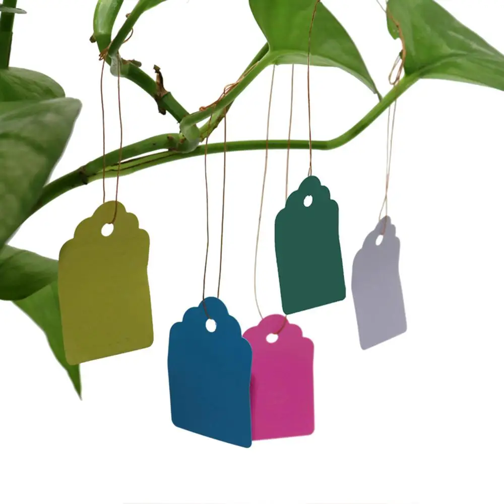 

Plants Hang Tag Labels Waterproof Plant Tags 100Pcs Markers Colorful Nursery Garden Labels Plant Marking Tags with String Tags