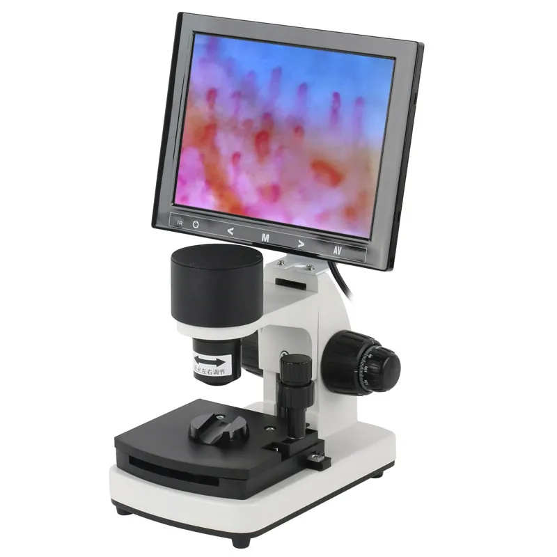Profesional Nailfold Microcircolazione Capillare Hd 1000X Microscopio Blood Observer Macchina Integrata Display Lcd A Colori