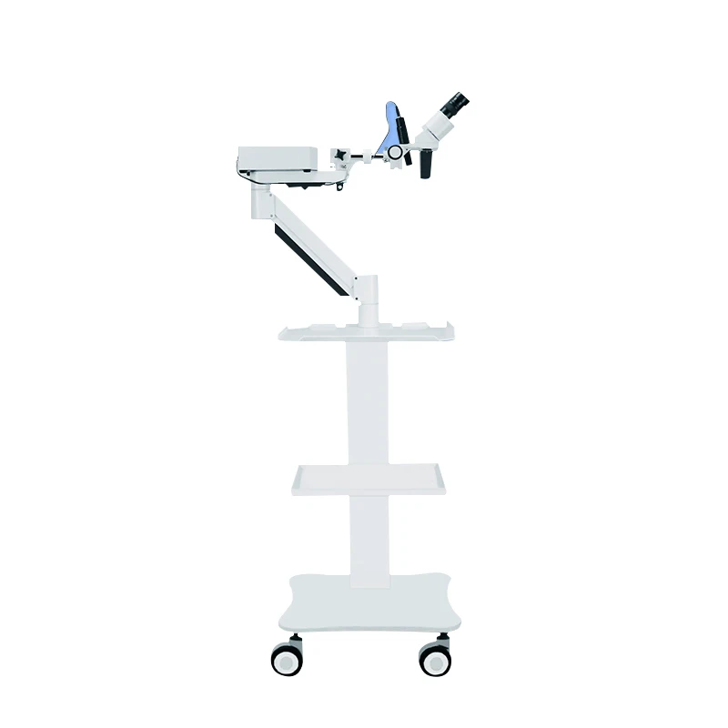 

Dental Binocular Microscope with Cart 360° Rotatable 10X Magnify Short Arm Microscope Dentists Dental Lab Equipment