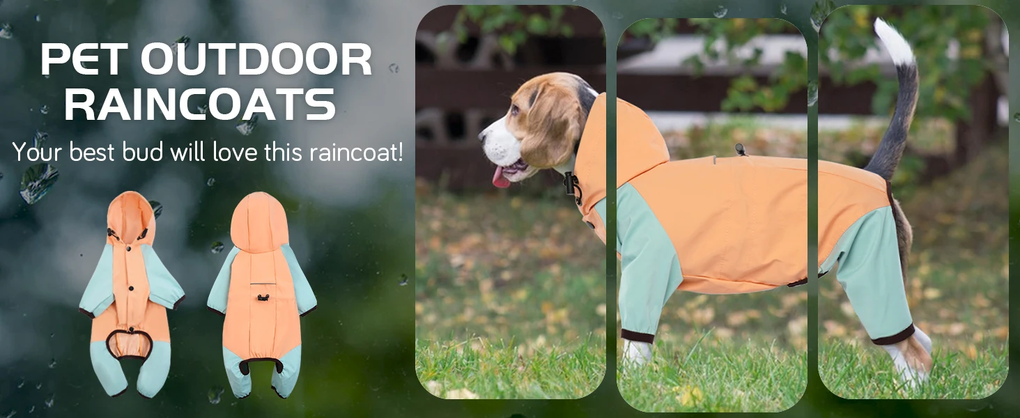 dog rain jacket