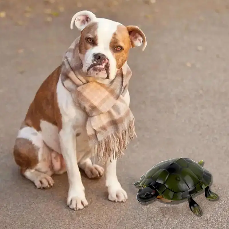 Remote Control Turtle Toy Realistic Remote Control Robot Turtles Electric Animal Toy Sea Ocean Animal Figurines Tortoise Turtle 5