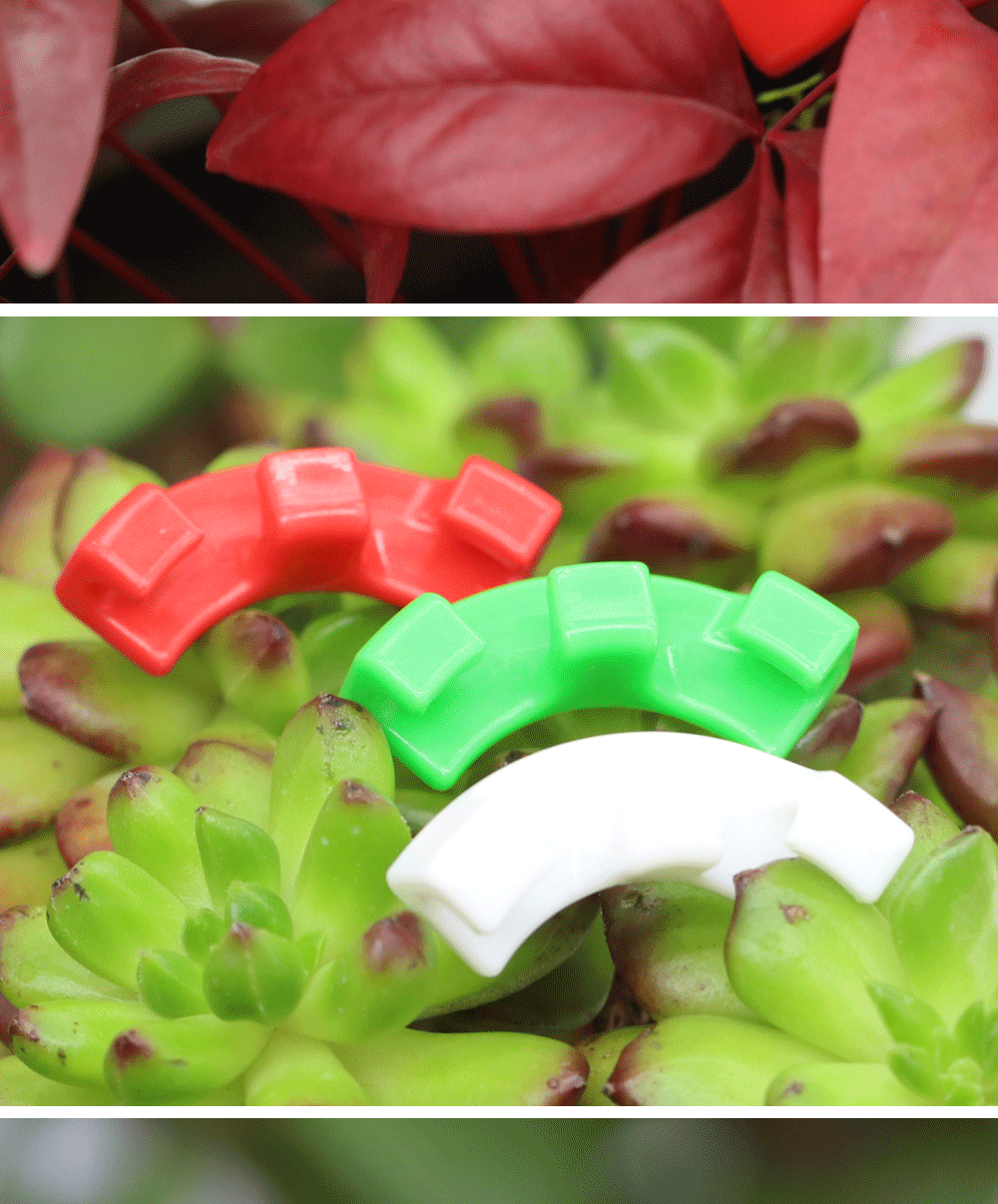 150 Piega Piante 90°: Clip Flessibili Per Addestrare E Modellare I Tuoi Fiori (Verde, Bianco E Rosso) - 3