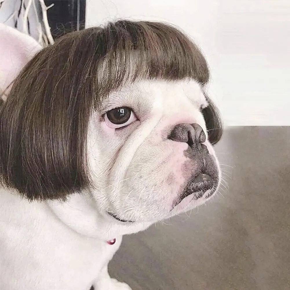 Funny Pet Cosplay Wig – Dog & Cat Costume Headwear 4