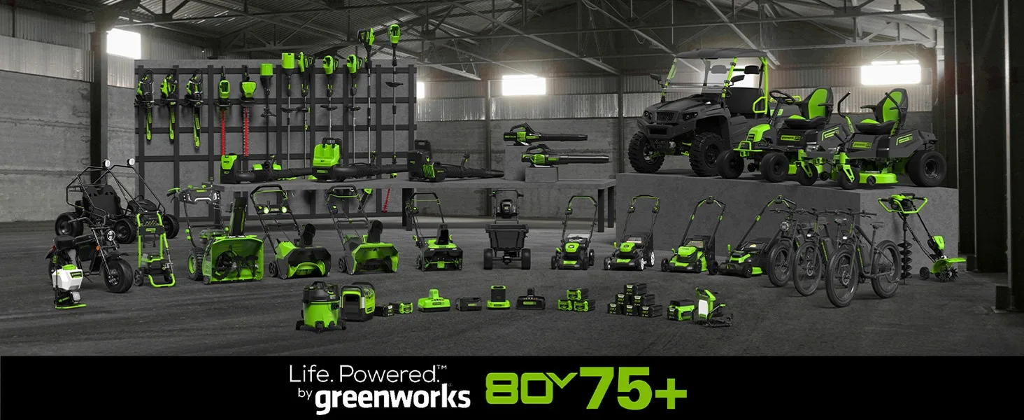 80V FAMILY