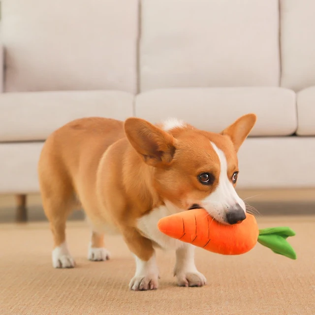 Dog Toy Pet Carrot Plush Toy Vegetable Chew Toy for Small Medium Large Dogs Universal Pet Sound Playing Toy Pet  Accessories 4