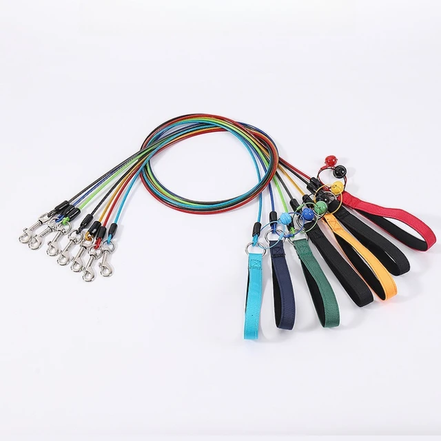 New Metal Pet Dog Specific Traction Rope Anti Bite and Durable Suitable for Dogs of All Sizes Outdoor Dog Walking Pet Supplies 6
