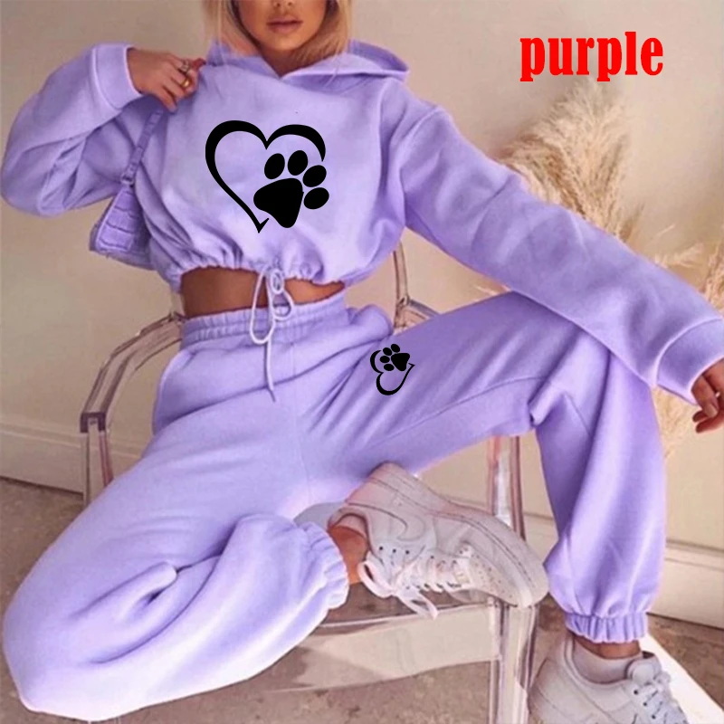 New Women Tracksuit Hoodie and Pants Casual Sport Suit Winter 2 Piece Set 8 Colors Jogging Suit