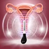 Pelvic Floor Repair Muscle Stimulator Vaginal Trainer Exerciser Women Improve Incontinence Vagina Tighten Device 6