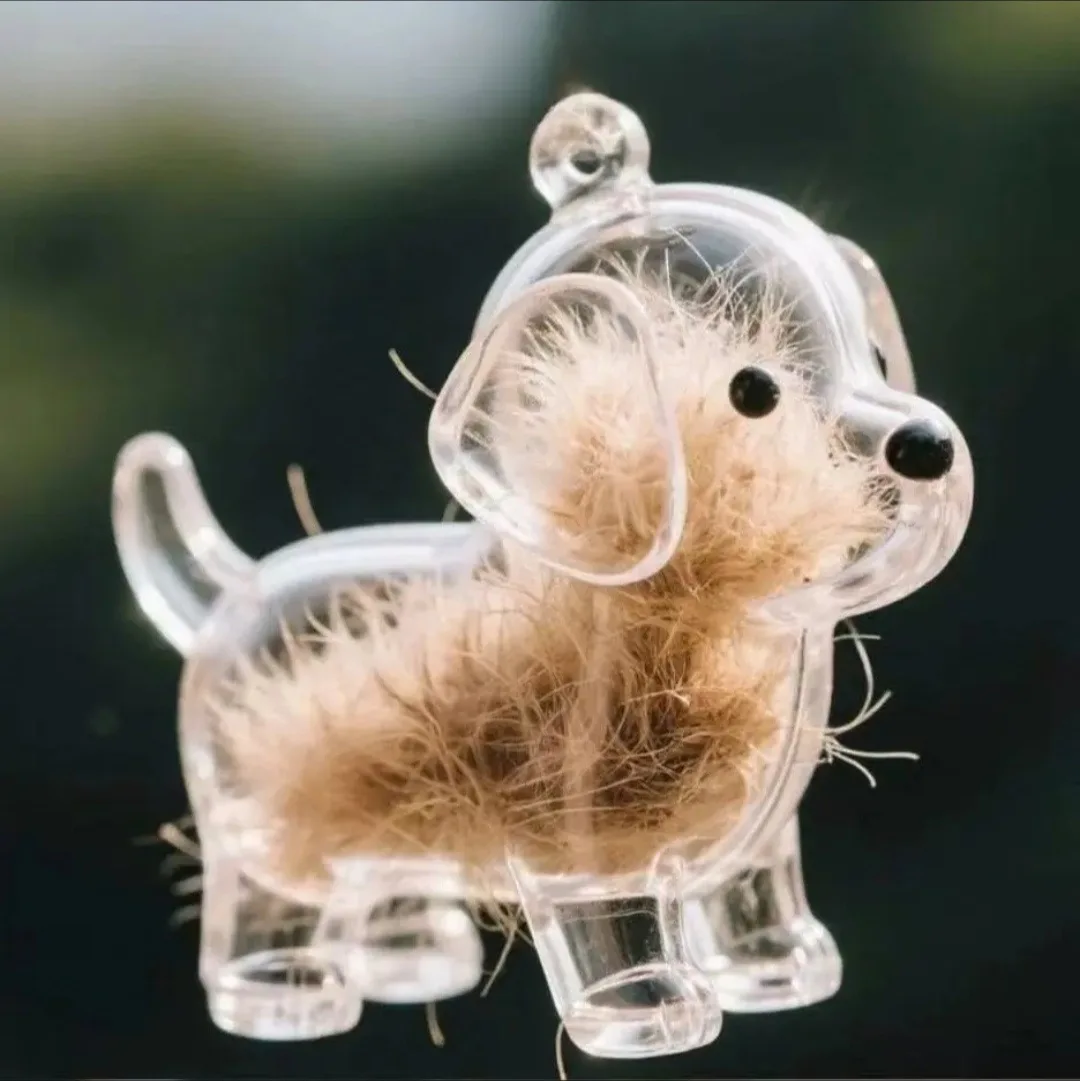 6PCS Available Transparent Fur Storage Dog Keychain Adorable 3D Puppy Hair Box Keyring  Memorial Keepsake Capsule for Friend Bag