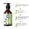 Ginger Anti Hair L-oss Shampoo Deep Clean Nourishing Oil Control Make Repair Damaged Hair Soft Smooth Organic Hair Growth Care 4