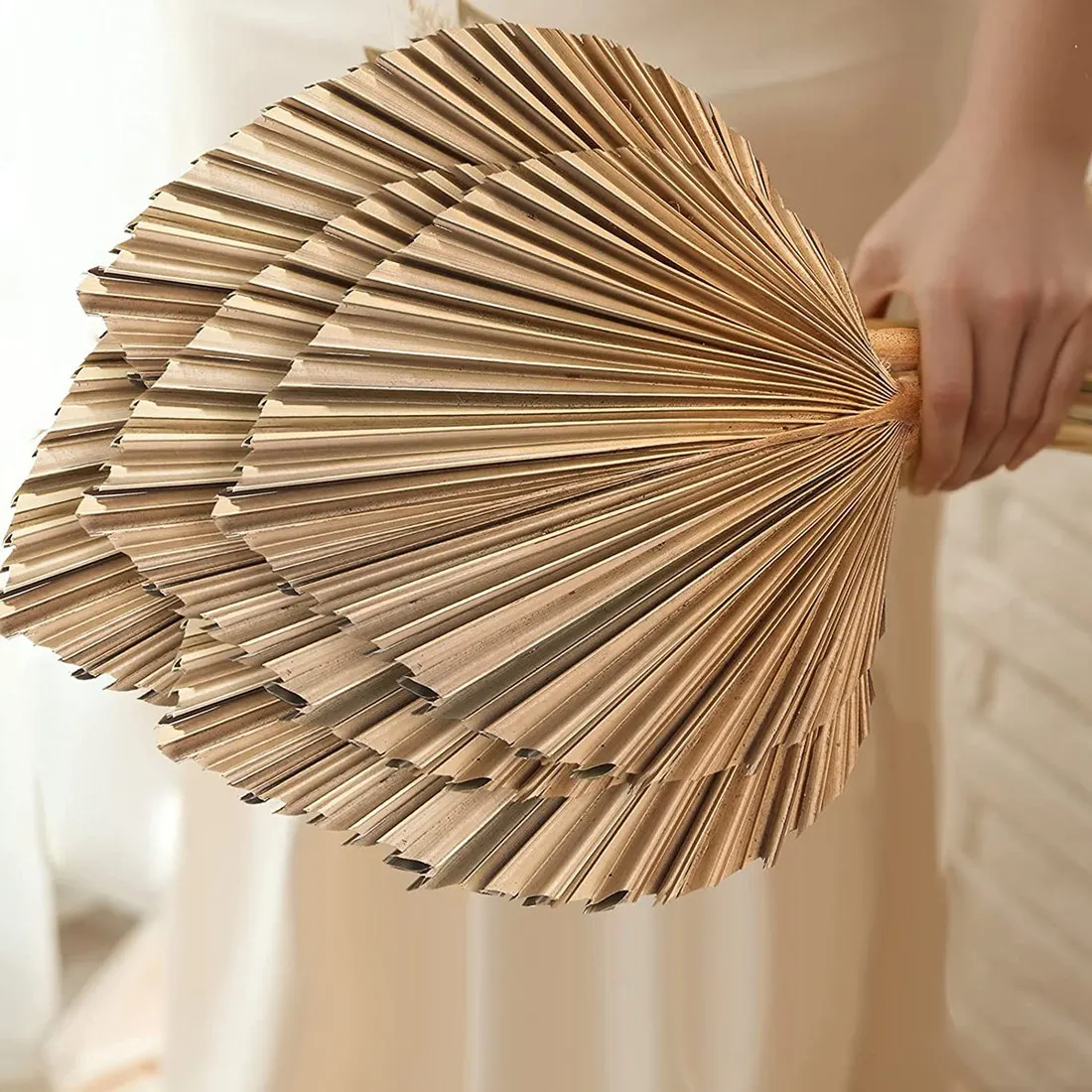 Dried Palm Leaves Decor 5Pcs Natural Dried Palm Leaves Tropical Dried Palm Fans Boho Dry Leaves Decor for Home Kitchen Wedding
