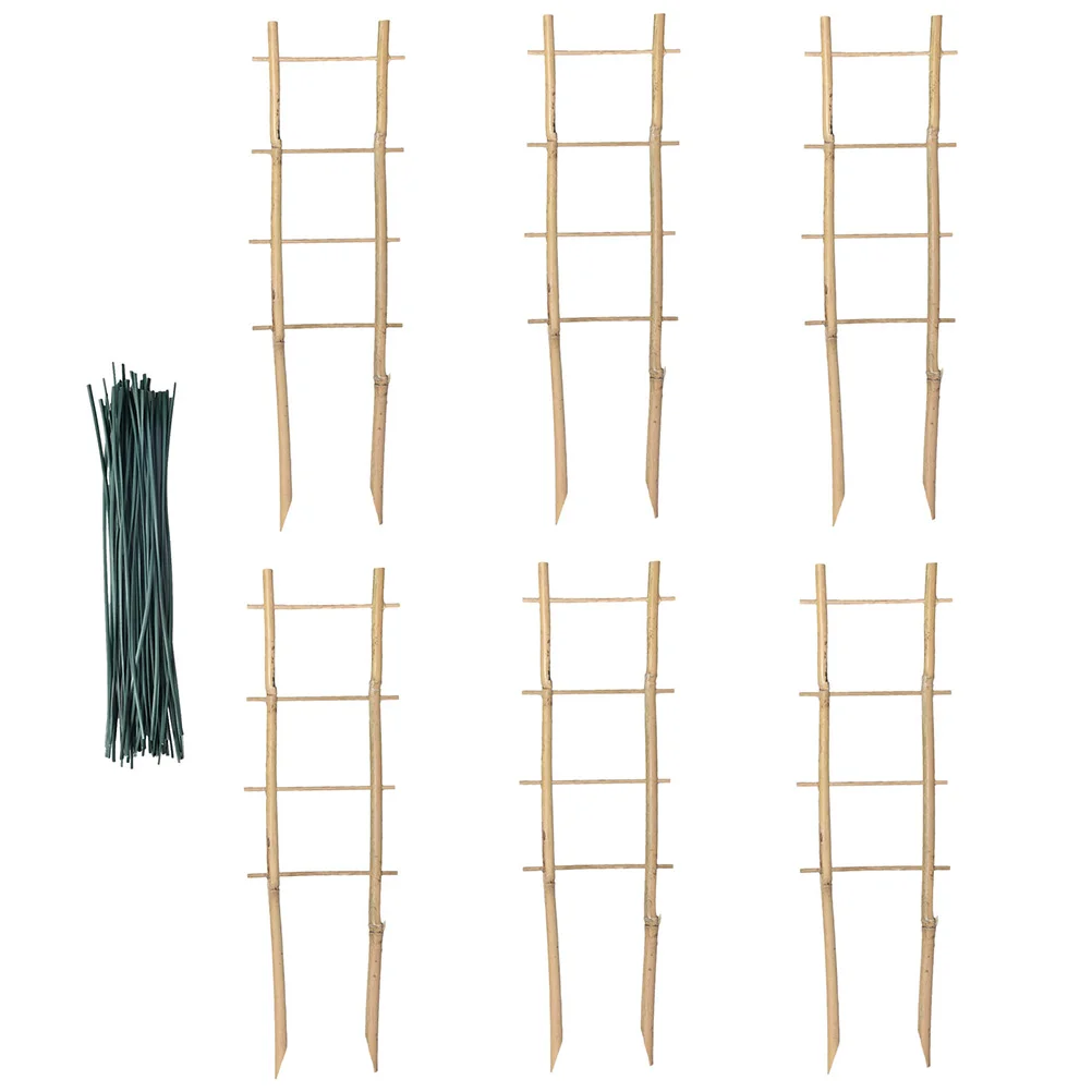 

Indoor Plant Trellis Pot Support Scaffolding Vine Outdoor Climbing House Plants