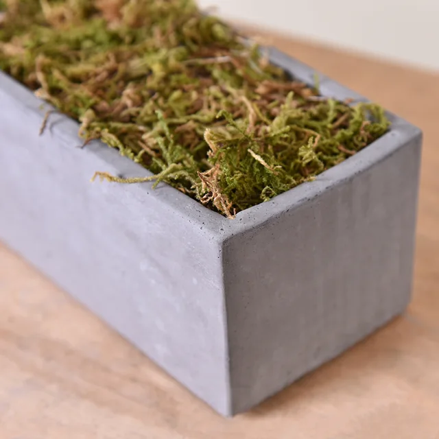 30g/bag 60g/bag Building model materials,green moss, turf, microscape, handmade DIY materials, home decor. miniatures 2