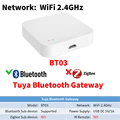 BT03
