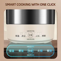 304 Stainless Steel Electric Oil Fryer Multifunctional French Fries Chicken Fryer Cooking Pot 2