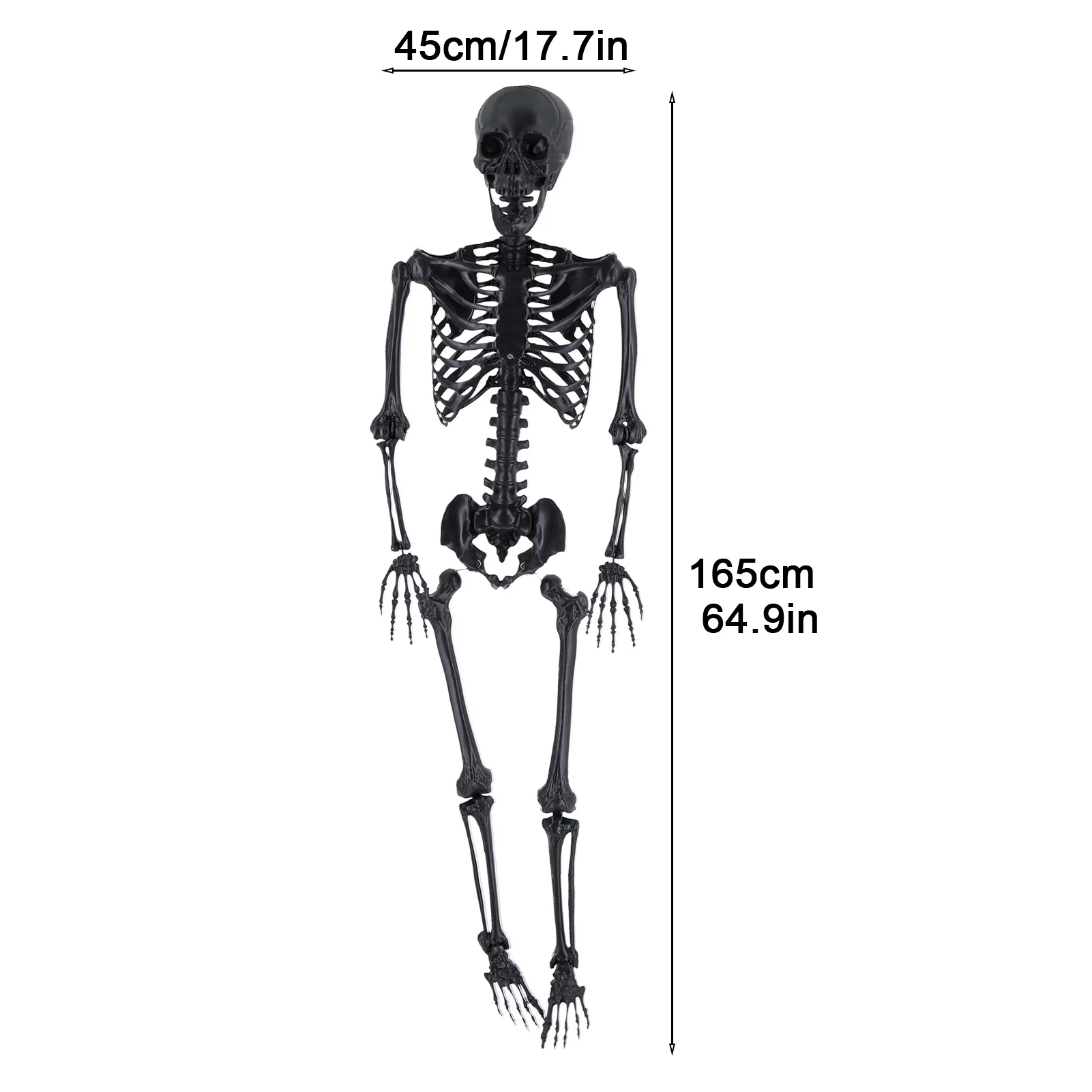 Skeleton decoration front view