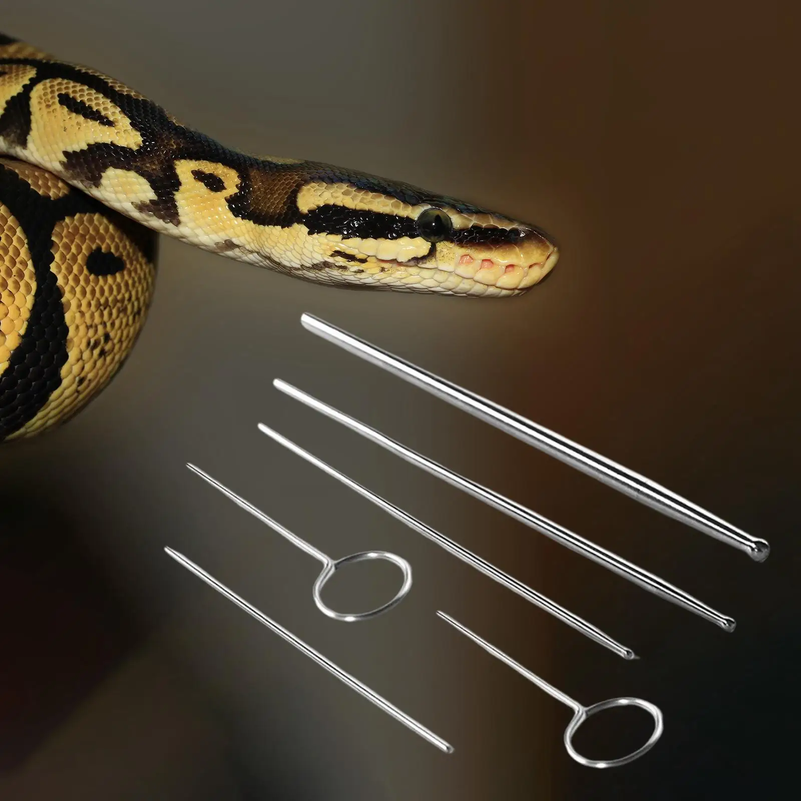 Reptile Snake Gender Detection Tool for Different Size Assorted Color
