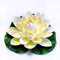 17cm white