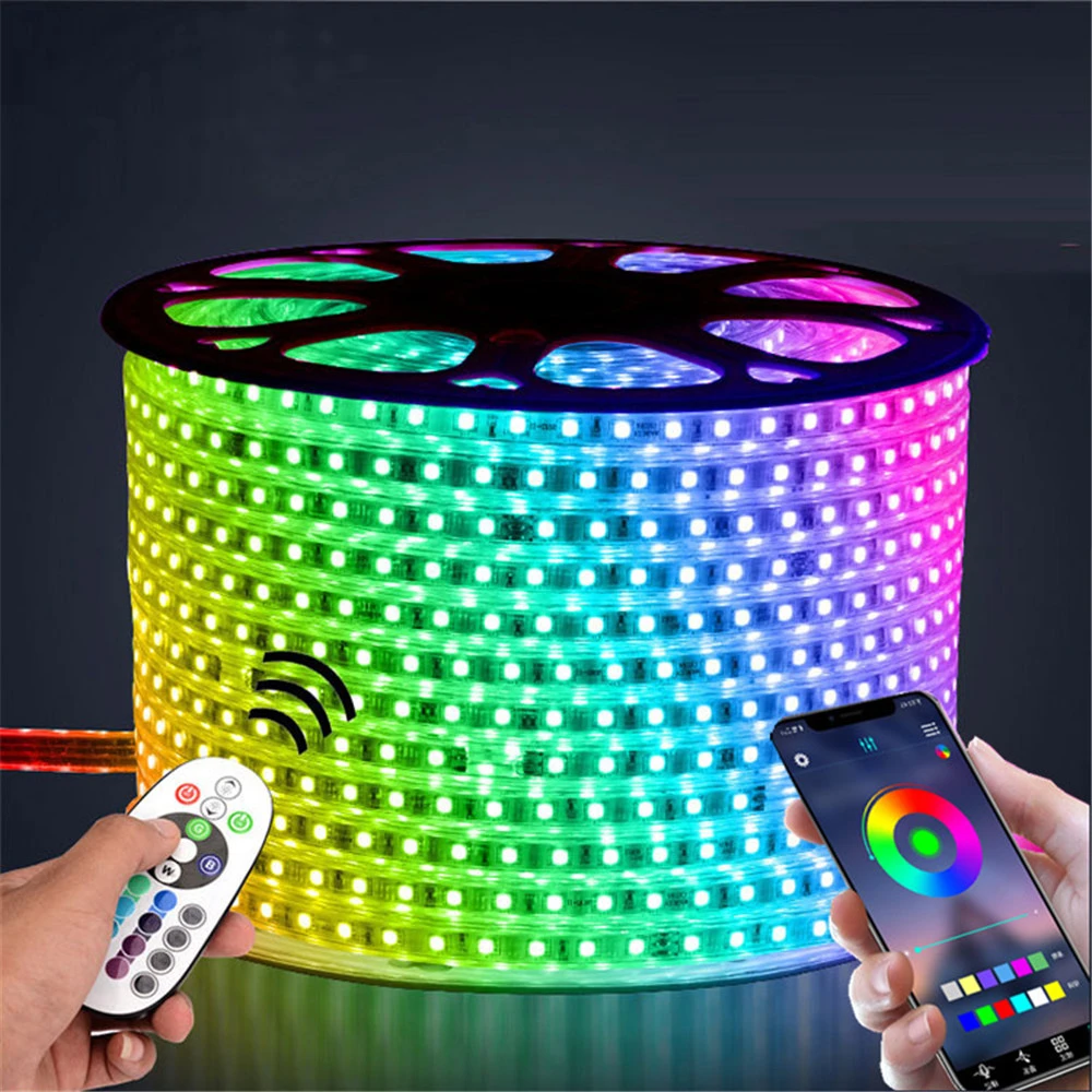 Waterproof Led Strip Rgb 5050 Outdoor Outdoor Led Light Remote Control 220v Led Aliexpress