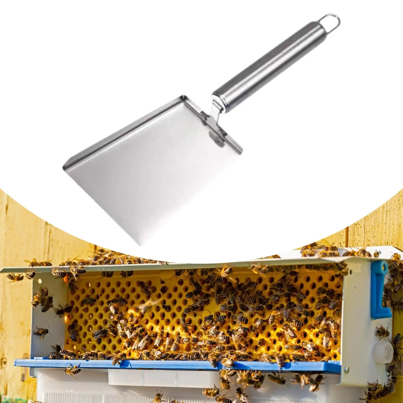 Beehive Spade,Hand Tool Honey Extractor Essentials Multifunctional Hive Cleaner Bee Hive Tool for Farmer Apiculture Cleaning