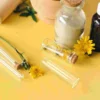 5 Pcs Glass Tubes Test Tube Vase Plant Propagation Tubes Hydroponic Vases Desktop Flower Containers Home Decor Vases 5