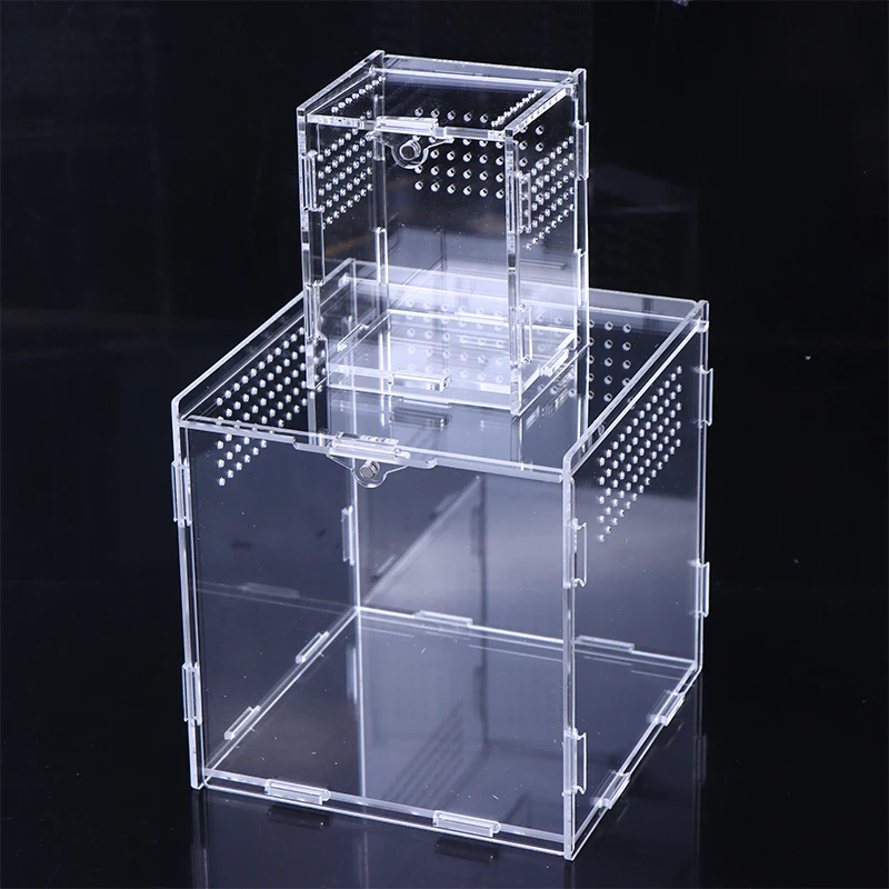 Acrylic Reptile Breeding Box 5