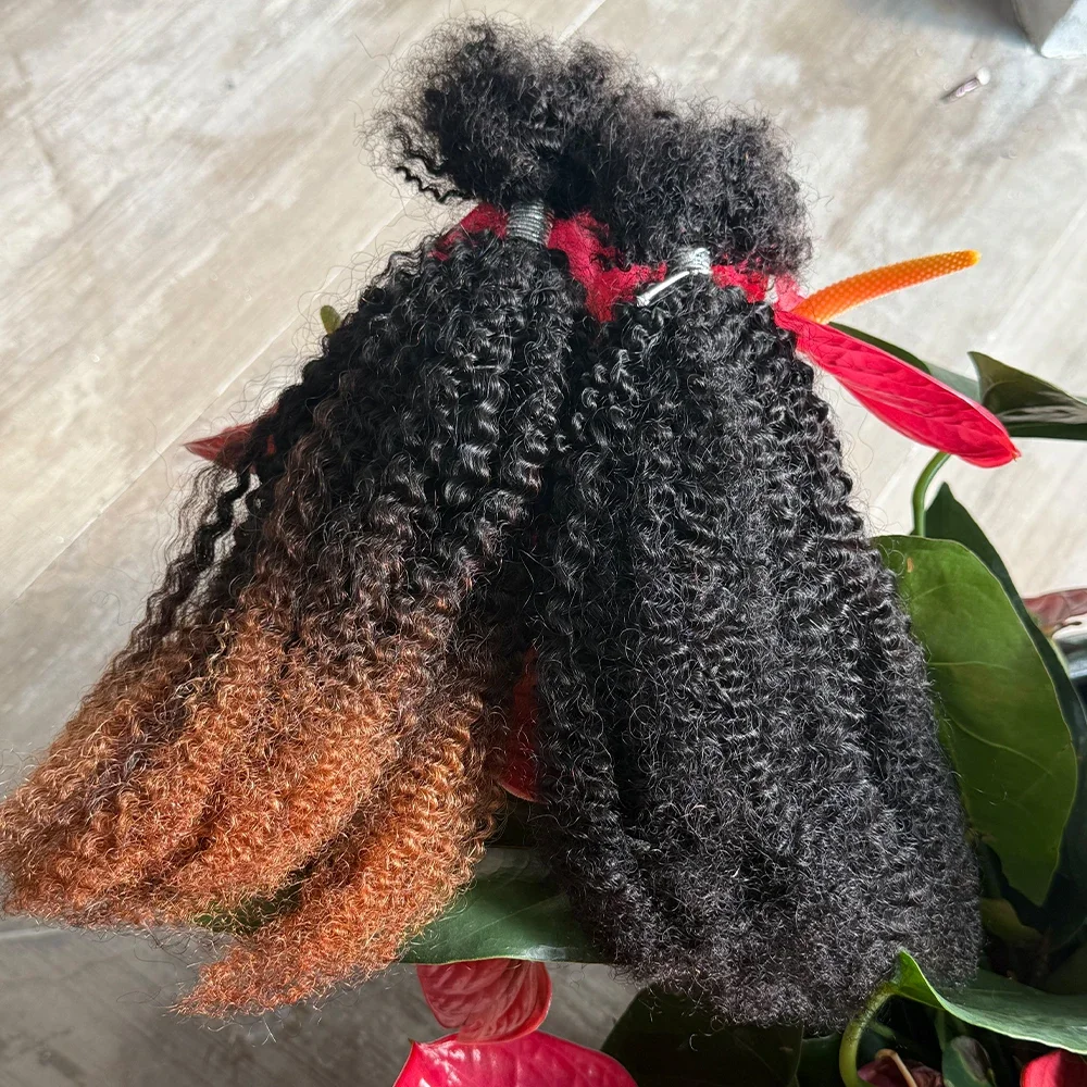 4C Afro Kinky Curly Bulk Hair 16 Inch 100% Human Hair Raw Virgin Unprocessed No Weft Braid Extension Natural Bulk Hair For Dread 4