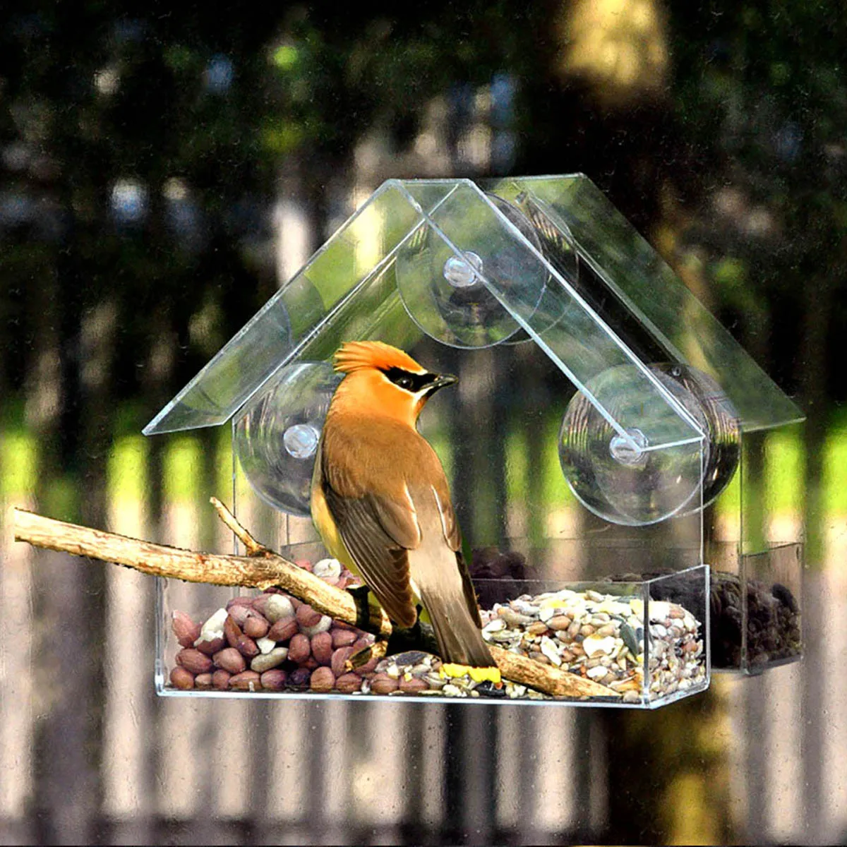 Bird feeder window wild transparent table removable suction cups sliding feed tray for garden patio yard