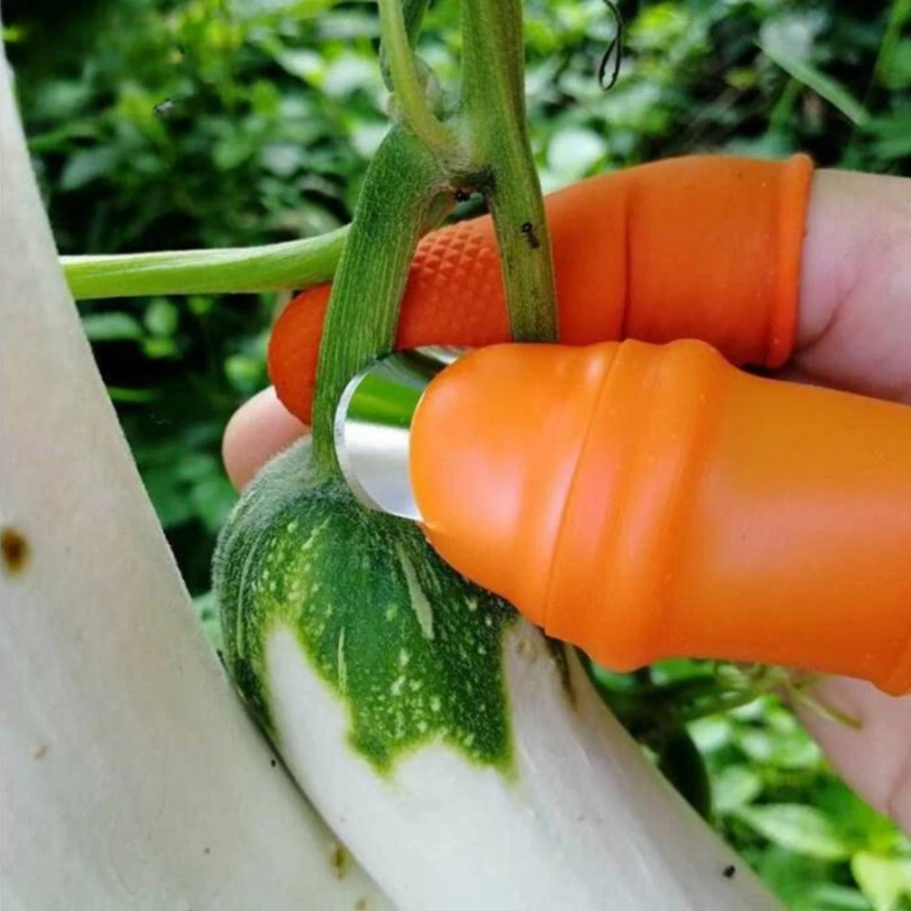 Farm Vegetable Fruit Picker Pickle Pepper Pickle Tip Picker Iron Nail Pick Grape for Garden Orchard and Vegetable Patch