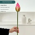 Flower bud deep pink