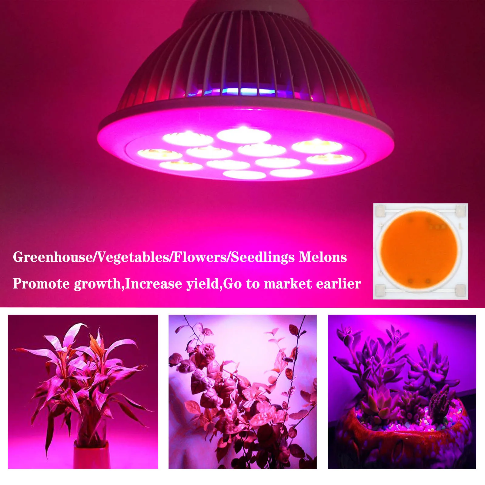 LED Ceramic Chip Grow Light AC220V 10W 20W 30W 50W1919mm For Indoor Vegetable Hydroponic Plant Growth Light Plant Growth Bulbs