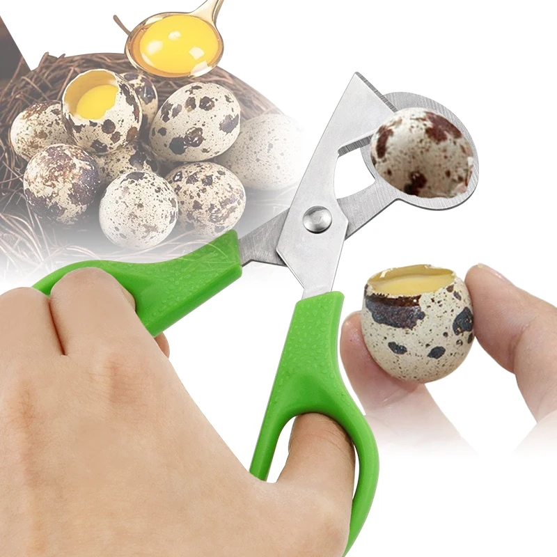 스테인리스 스틸 달걀 껍질 커터, 주방용 수공구, 메추라기 달걀, 새 계란 가위