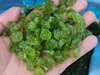 100 Cts Natural Olive Green Peridot Rough loose Gemstone lot 6