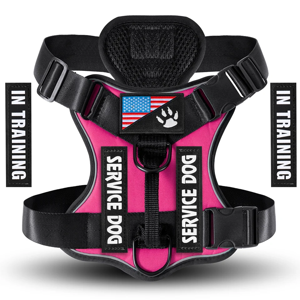 hot pink