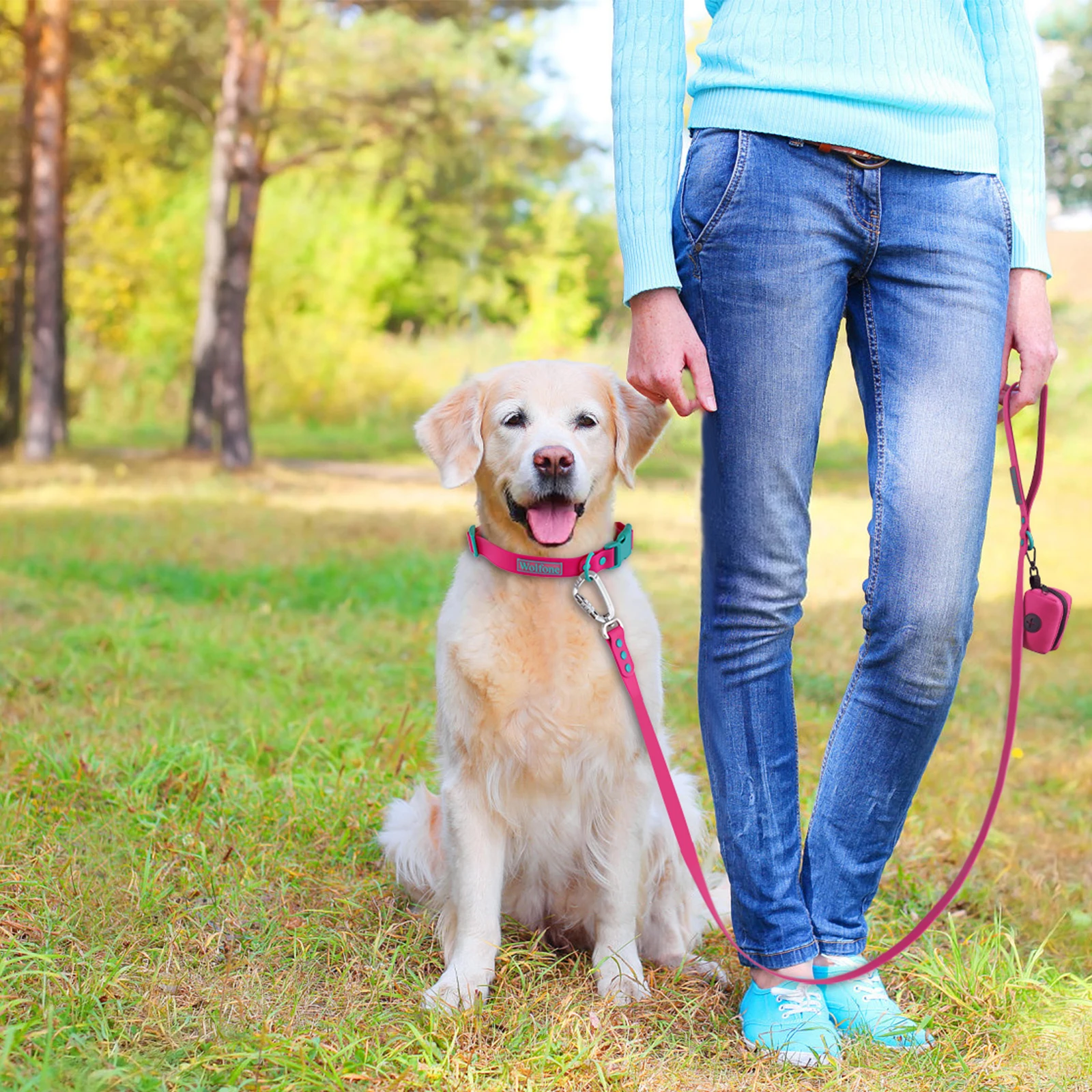 Small Dog Leash New Generation Medium Automated Hook Leash For Dog Walking - PeticaDeals